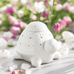 Brûleur tortue Franklin