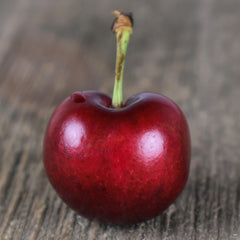 Diffuseur de parfum à bâtons