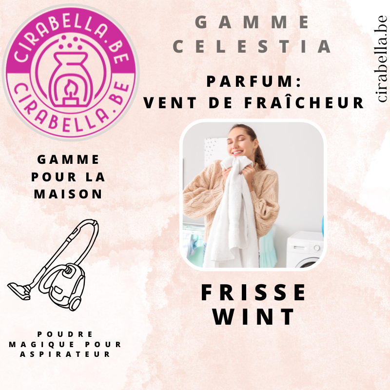 Poudre Parfumée pour Aspirateur - Désodorisant Maison 50g Vent de fraîcheur