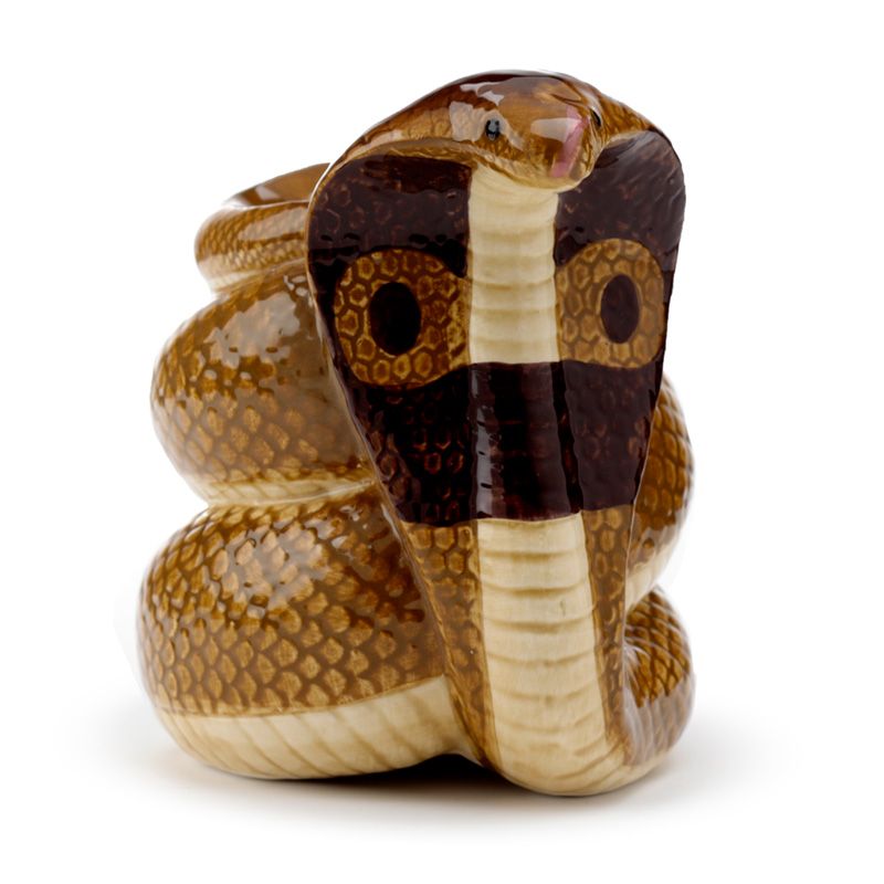 Brûleur serpent