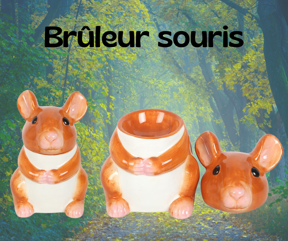 Brûleur en forme de souris