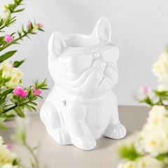 Boubou blanc