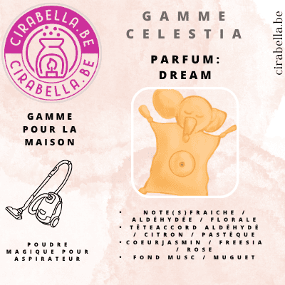 Poudre Parfumée pour Aspirateur - Désodorisant Maison 50g Dream