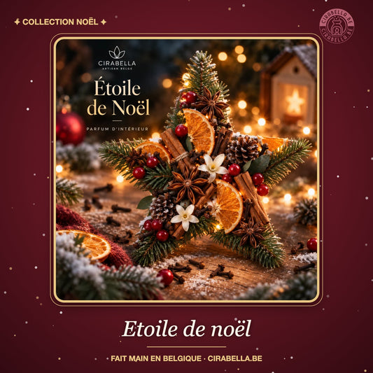 Etoile de noël