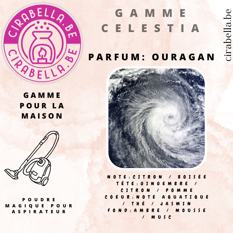 Poudre Parfumée pour Aspirateur - Désodorisant Maison 50g Ouragan