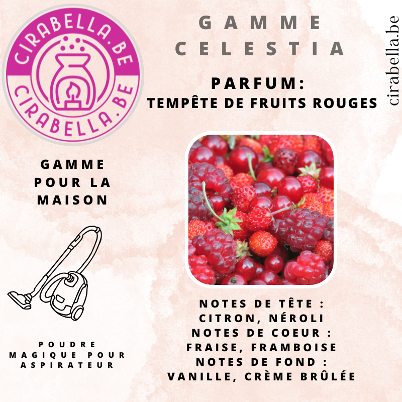 Poudre Parfumée pour Aspirateur - Désodorisant Maison 50g Tempête de fruits