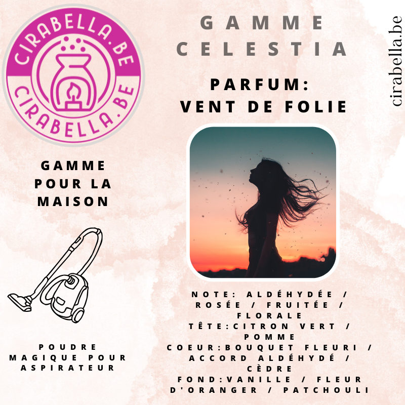 Poudre Parfumée pour Aspirateur - Désodorisant Maison 50g Vent de folie