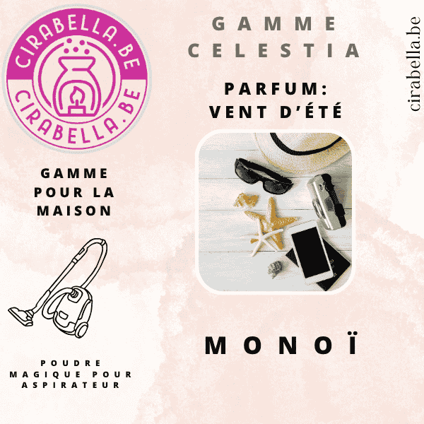 Poudre Parfumée pour Aspirateur - Désodorisant Maison 50g Vent d 'été