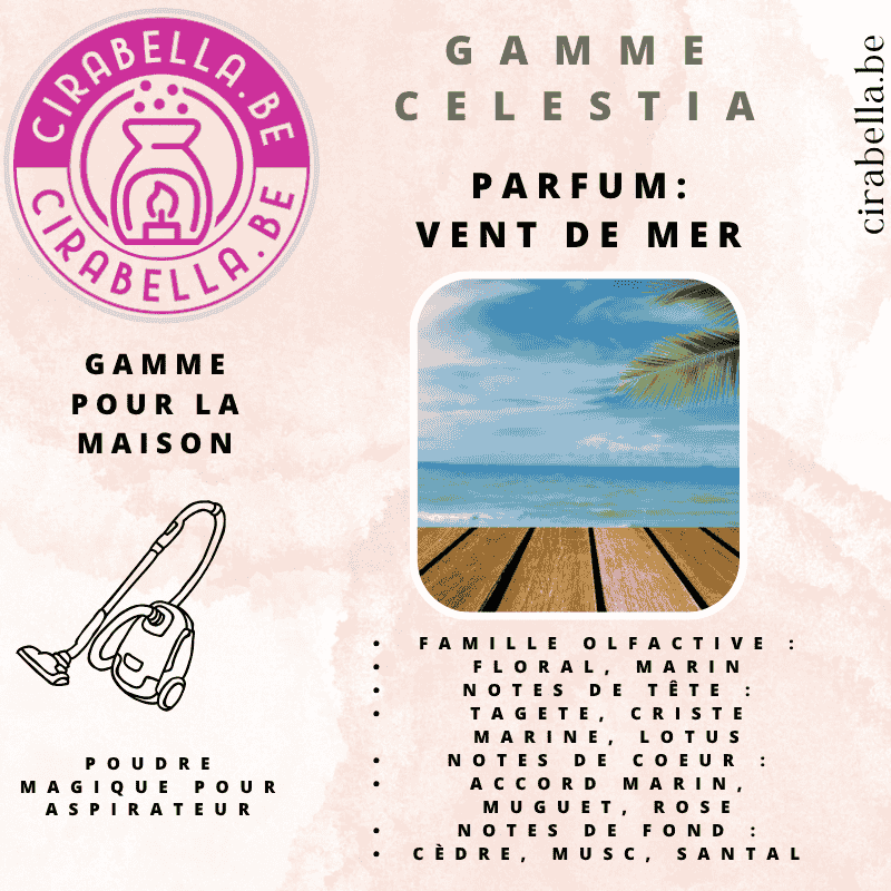 Poudre Parfumée pour Aspirateur - Désodorisant Maison 50g Vent de mer