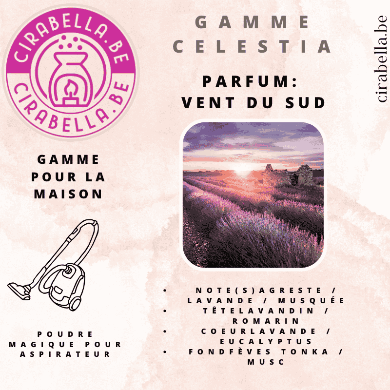 Poudre Parfumée pour Aspirateur - Désodorisant Maison 50g Vent du sud